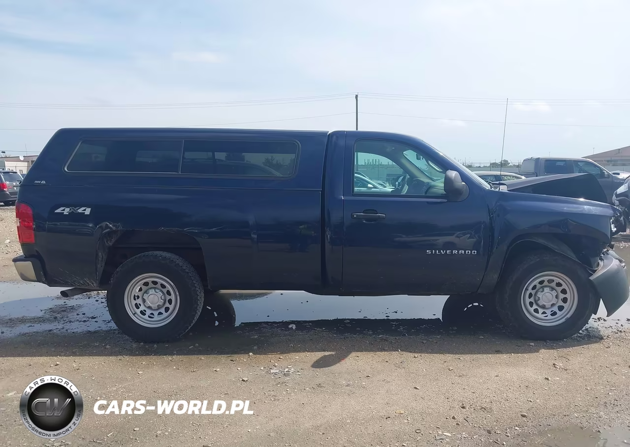 2010 Chevrolet Silverado 1500 Work Truck VIN:1GCPKPE00AZ238261 - 13