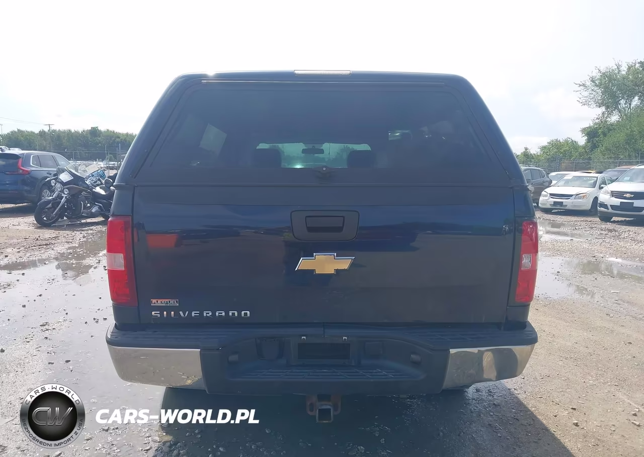 2010 Chevrolet Silverado 1500 Work Truck VIN:1GCPKPE00AZ238261 - 16
