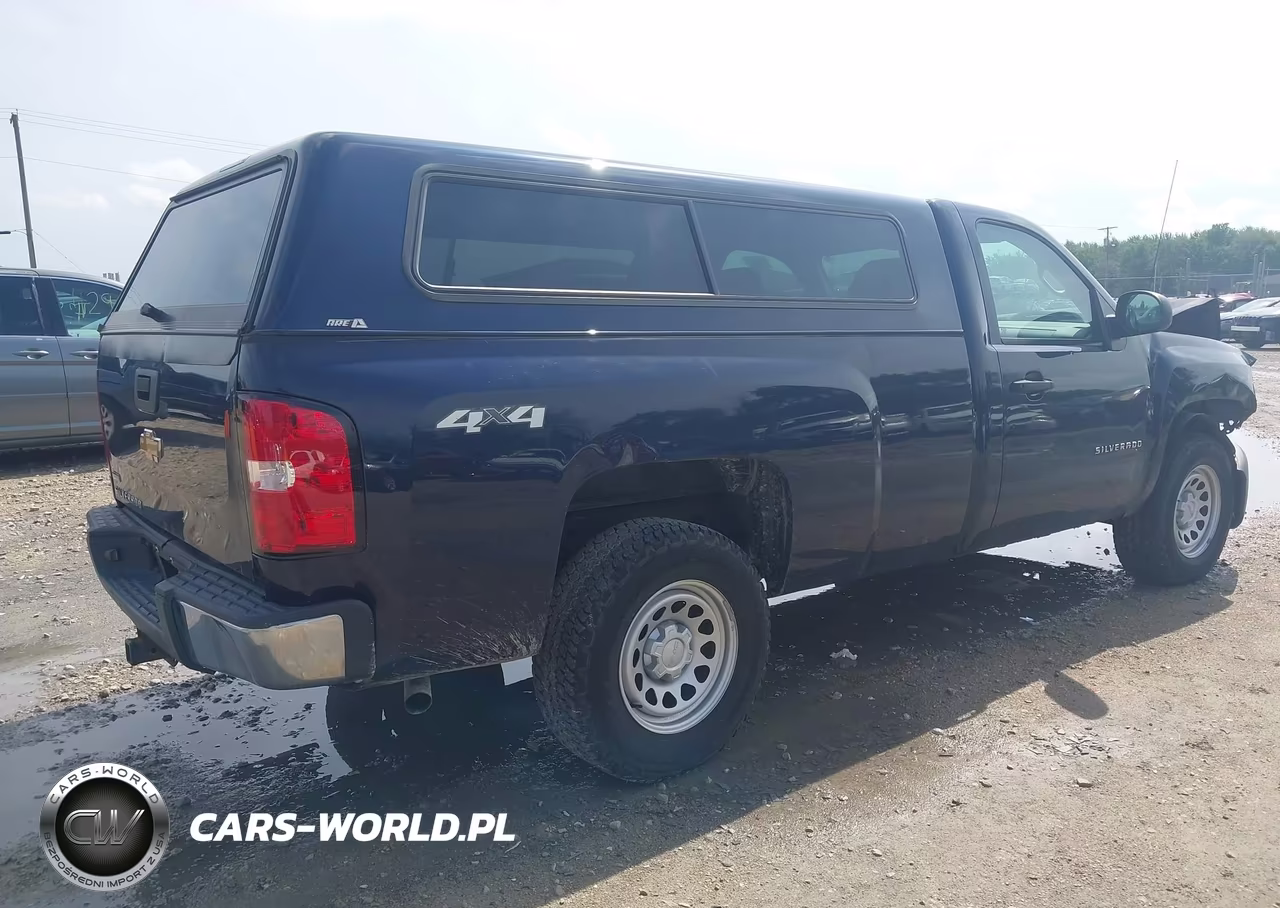 2010 Chevrolet Silverado 1500 Work Truck VIN:1GCPKPE00AZ238261 - 4
