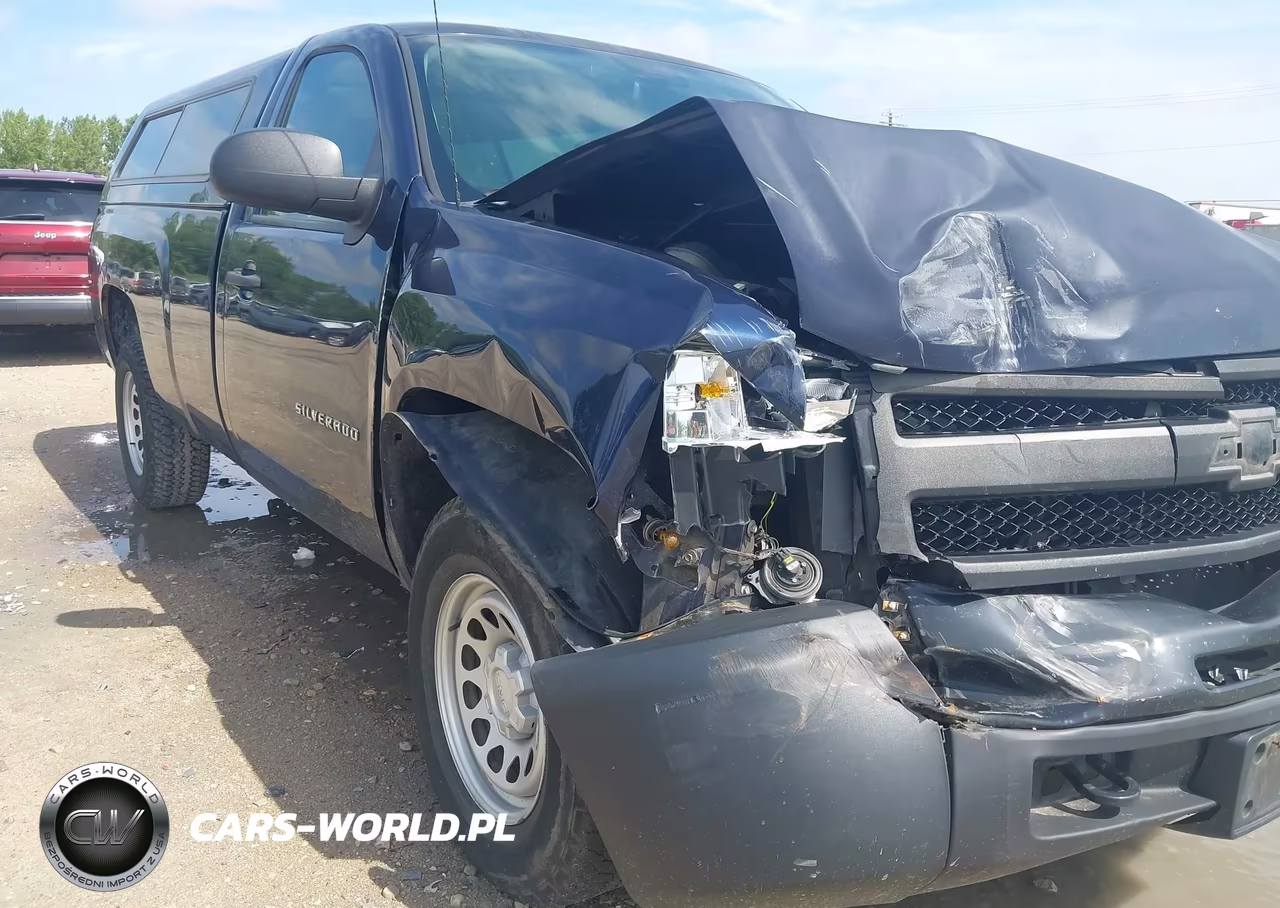 2010 Chevrolet Silverado 1500 Work Truck VIN:1GCPKPE00AZ238261 - 6