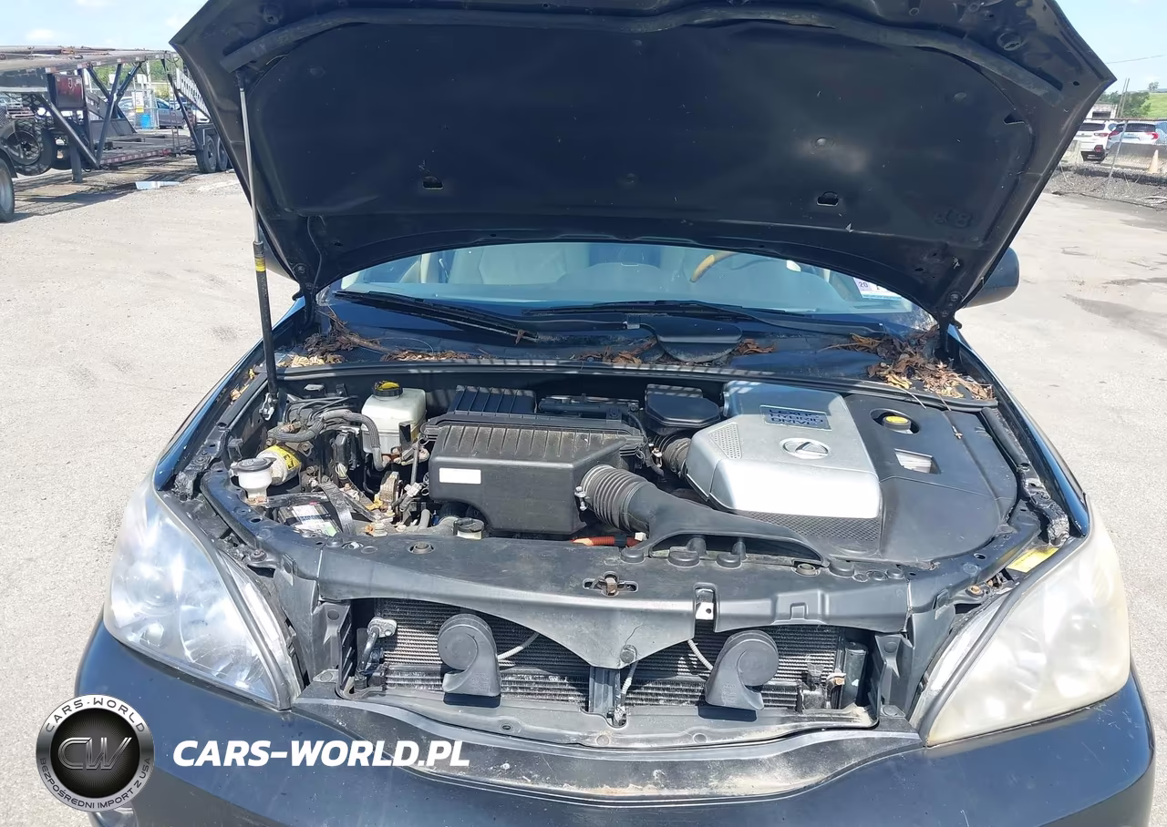 2008 Lexus Rx 400H VIN:JTJHW31U482854247 - 10