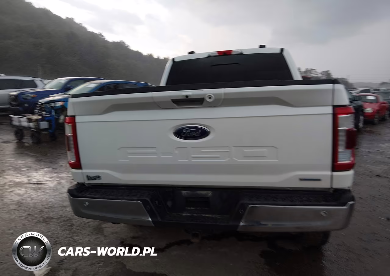 2021 Ford F-150 Lariat VIN:1FTFW1E88MKE36618 - 16