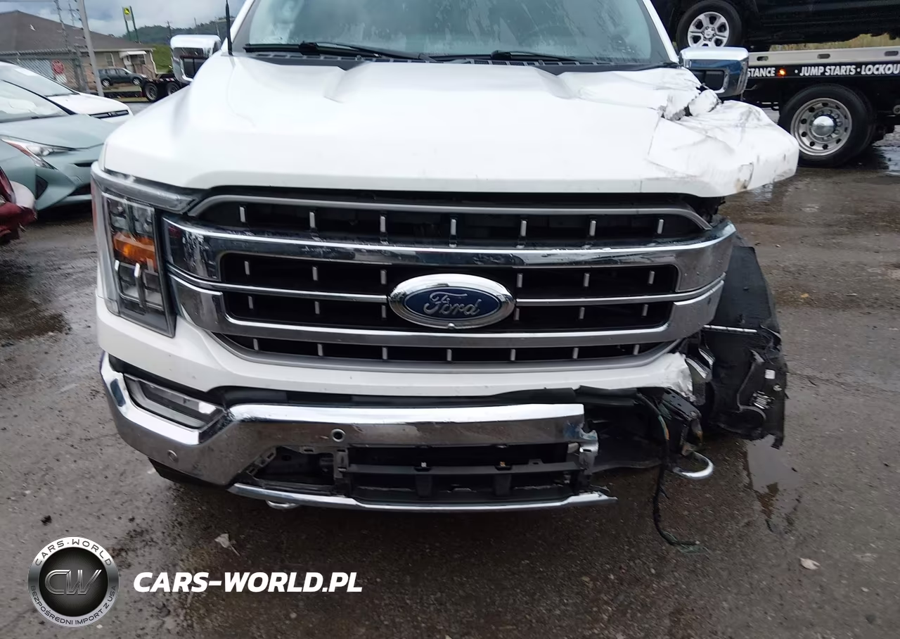 2021 Ford F-150 Lariat VIN:1FTFW1E88MKE36618 - 17
