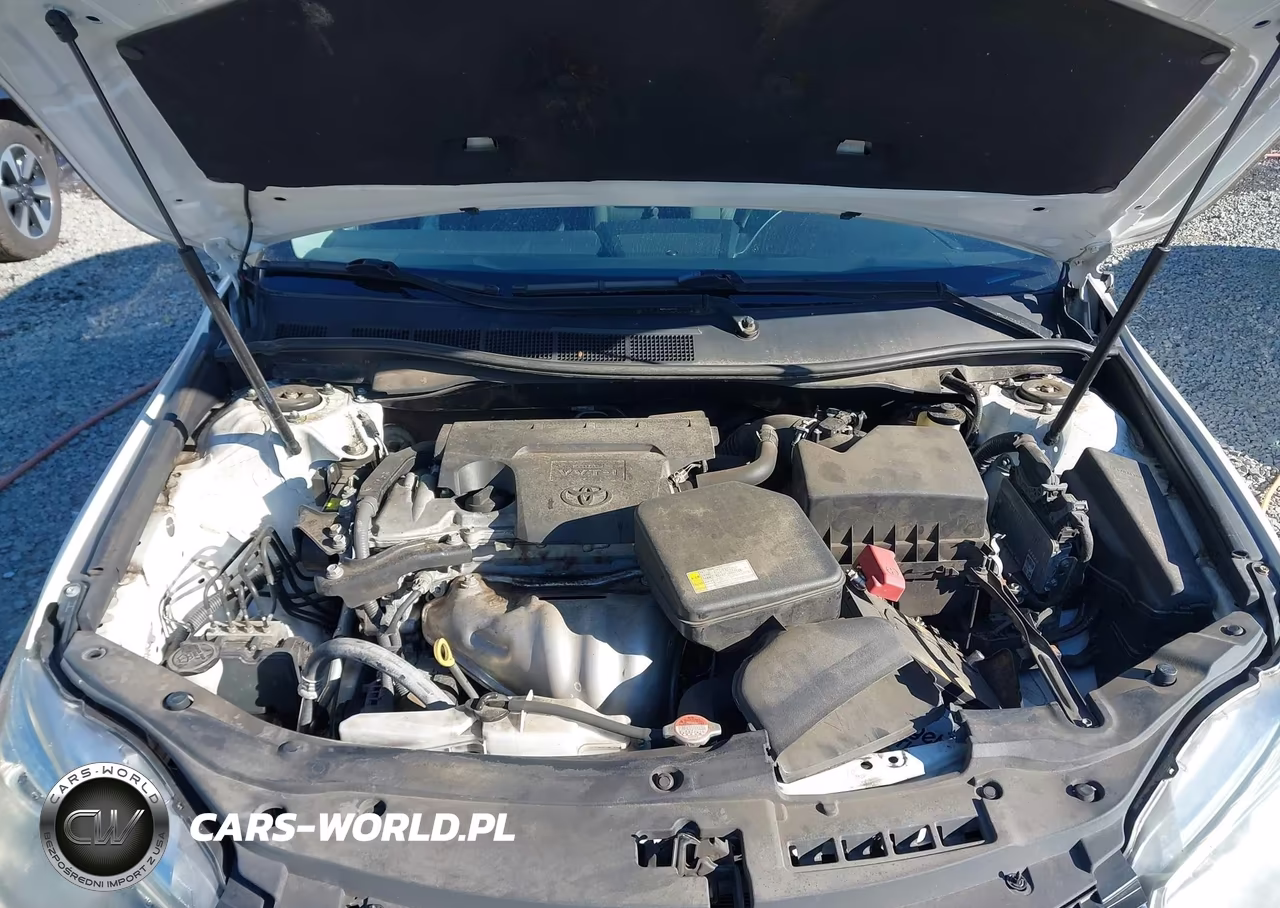 2016 Toyota Camry Le VIN:4T4BF1FK2GR522039 - 10