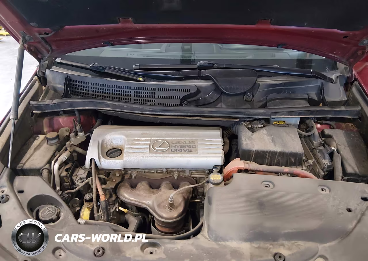 2010 Lexus Hs 250H Premium VIN:JTHBB1BA9A2005233 - 10