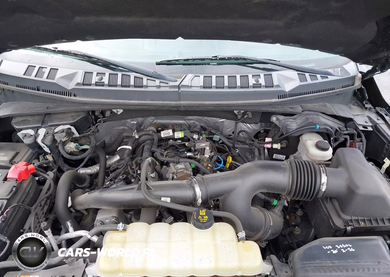 2020 Ford F-150 Xlt VIN:1FTEW1EP2LFC57954 - 10