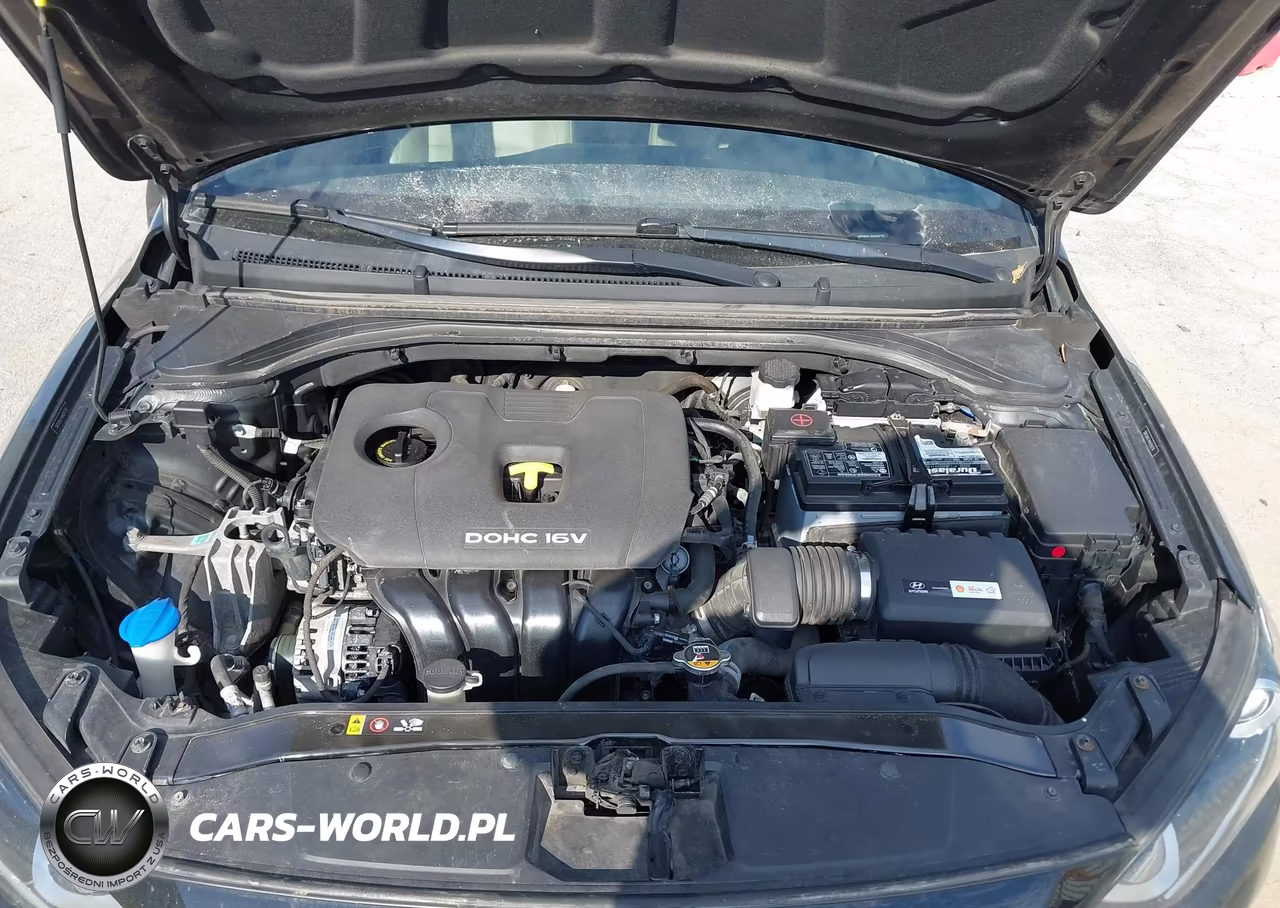 2017 Hyundai Elantra Limited VIN:5NPD84LF4HH016718 - 10