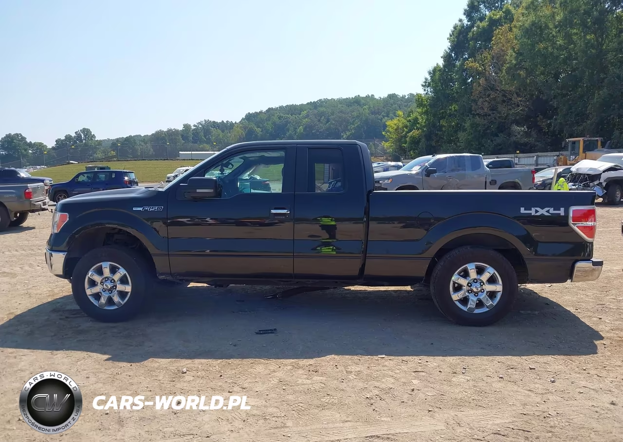 2013 Ford F-150 Xlt VIN:1FTFX1EF2DFB89830 - 15