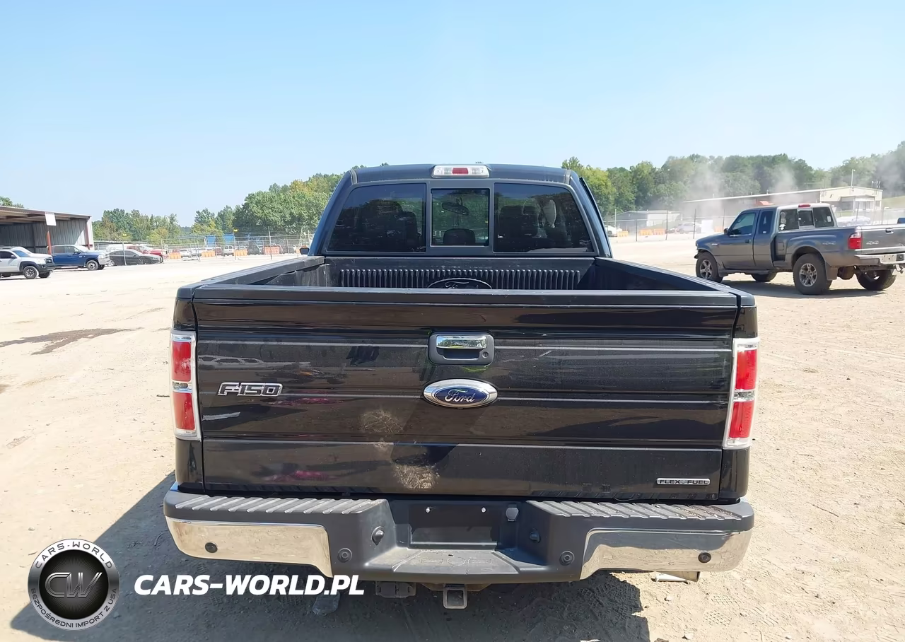 2013 Ford F-150 Xlt VIN:1FTFX1EF2DFB89830 - 17