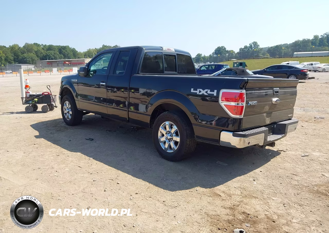 2013 Ford F-150 Xlt VIN:1FTFX1EF2DFB89830 - 3