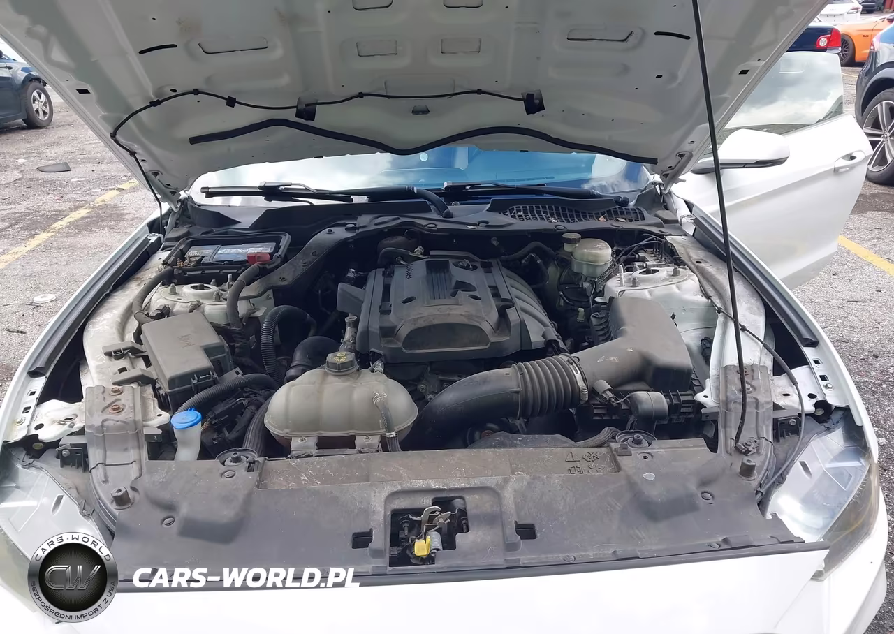 2019 Ford Mustang Ecoboost Premium VIN:1FA6P8TH7K5159762 - 10