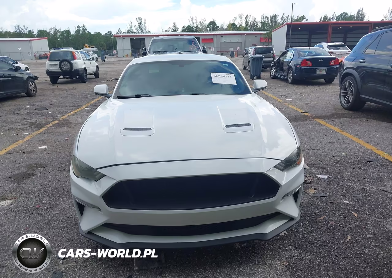 2019 Ford Mustang Ecoboost Premium VIN:1FA6P8TH7K5159762 - 12