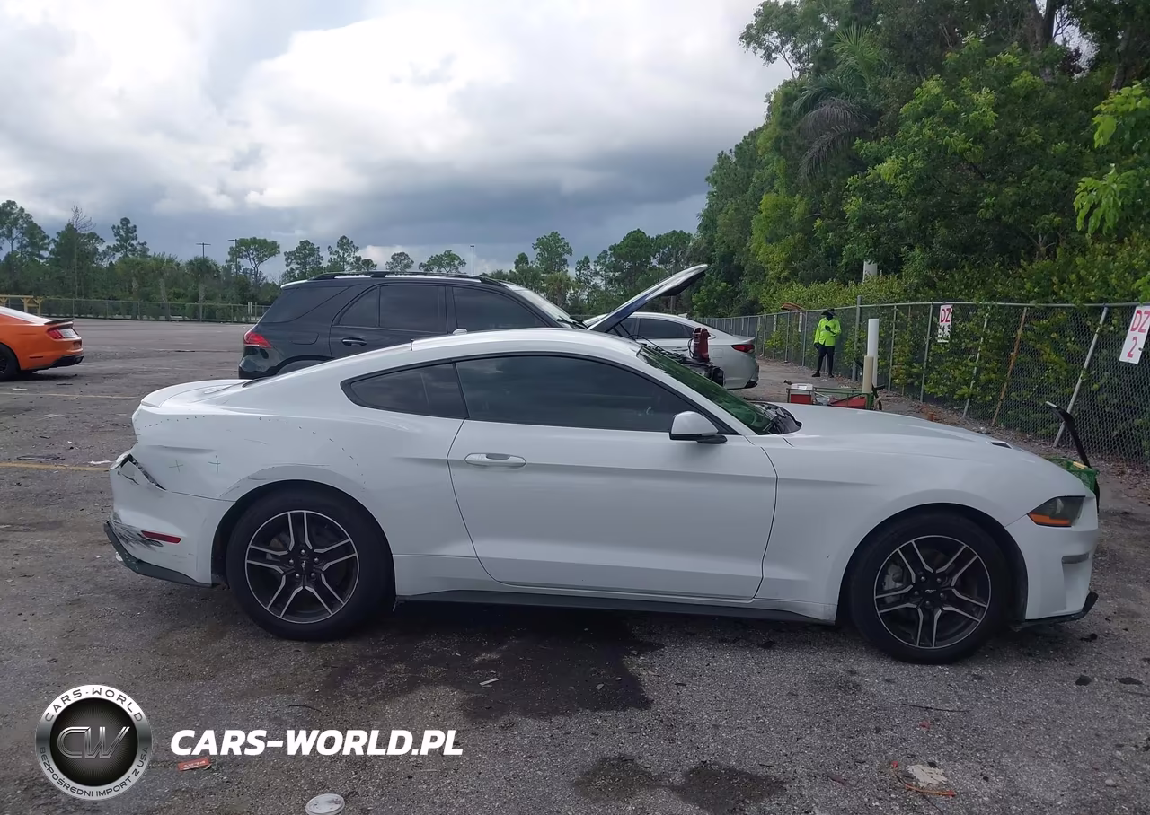 2019 Ford Mustang Ecoboost Premium VIN:1FA6P8TH7K5159762 - 13