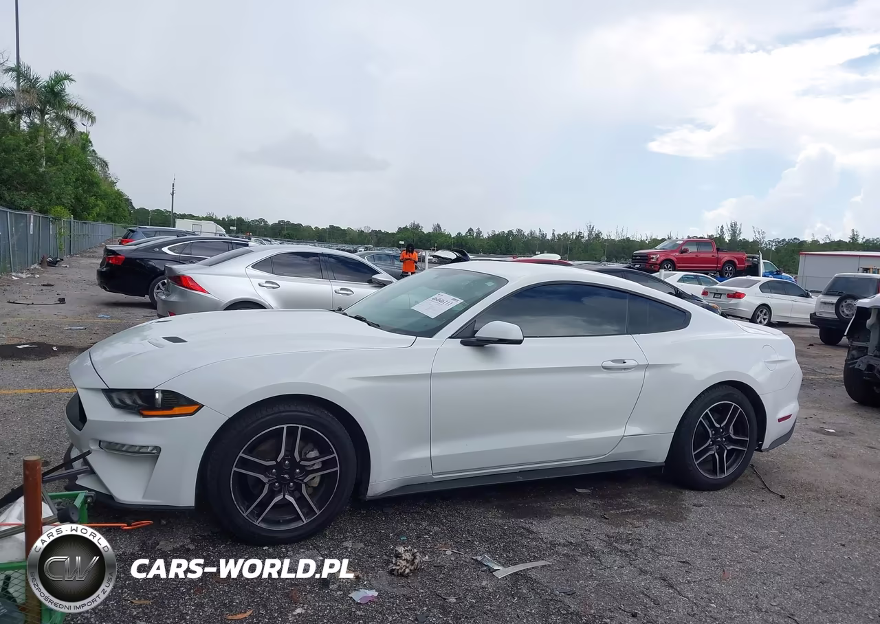 2019 Ford Mustang Ecoboost Premium VIN:1FA6P8TH7K5159762 - 14