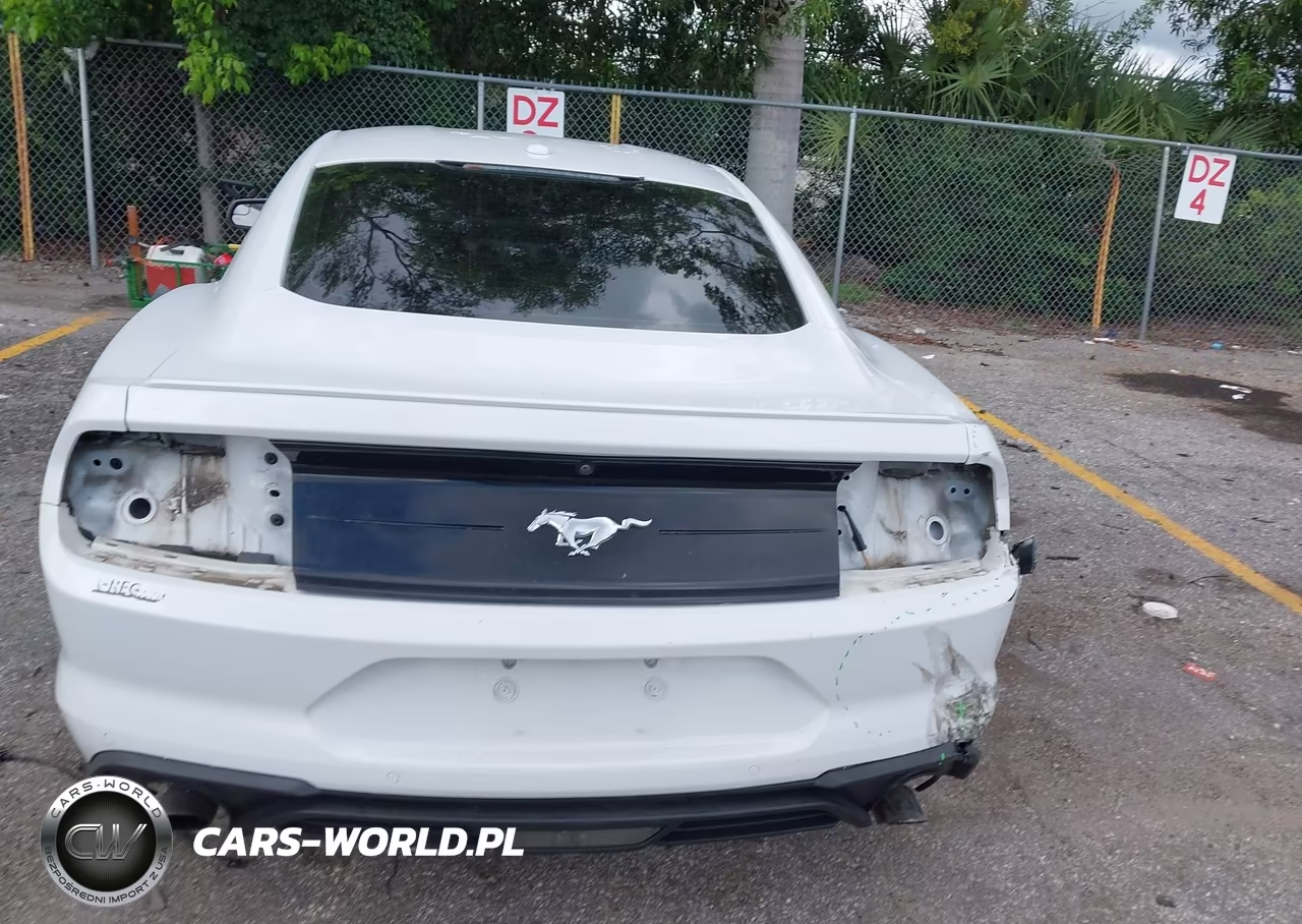2019 Ford Mustang Ecoboost Premium VIN:1FA6P8TH7K5159762 - 16