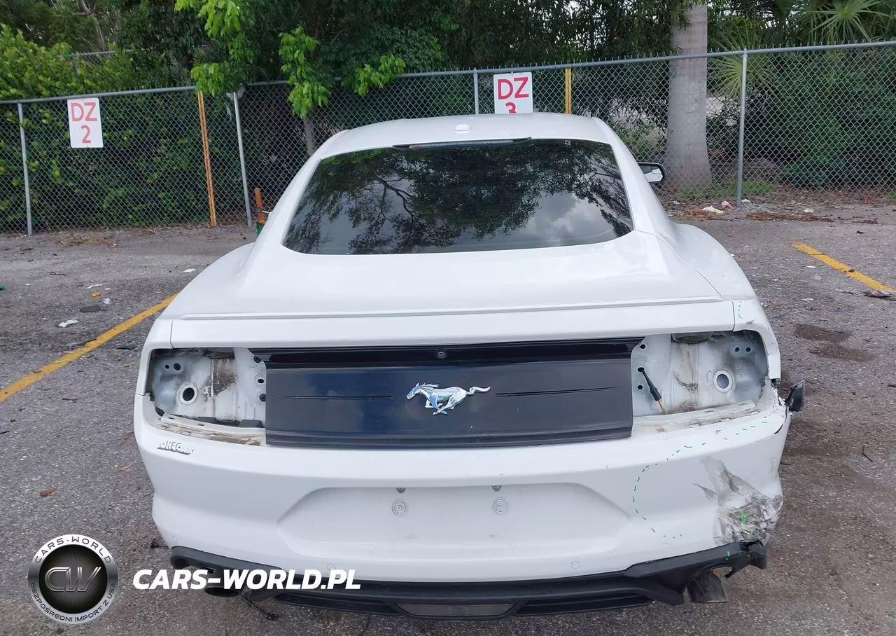 2019 Ford Mustang Ecoboost Premium VIN:1FA6P8TH7K5159762 - 17