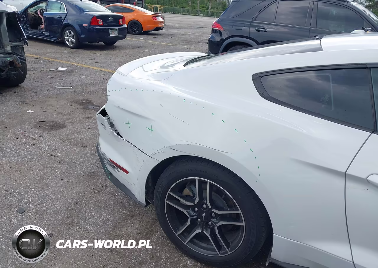 2019 Ford Mustang Ecoboost Premium VIN:1FA6P8TH7K5159762 - 18
