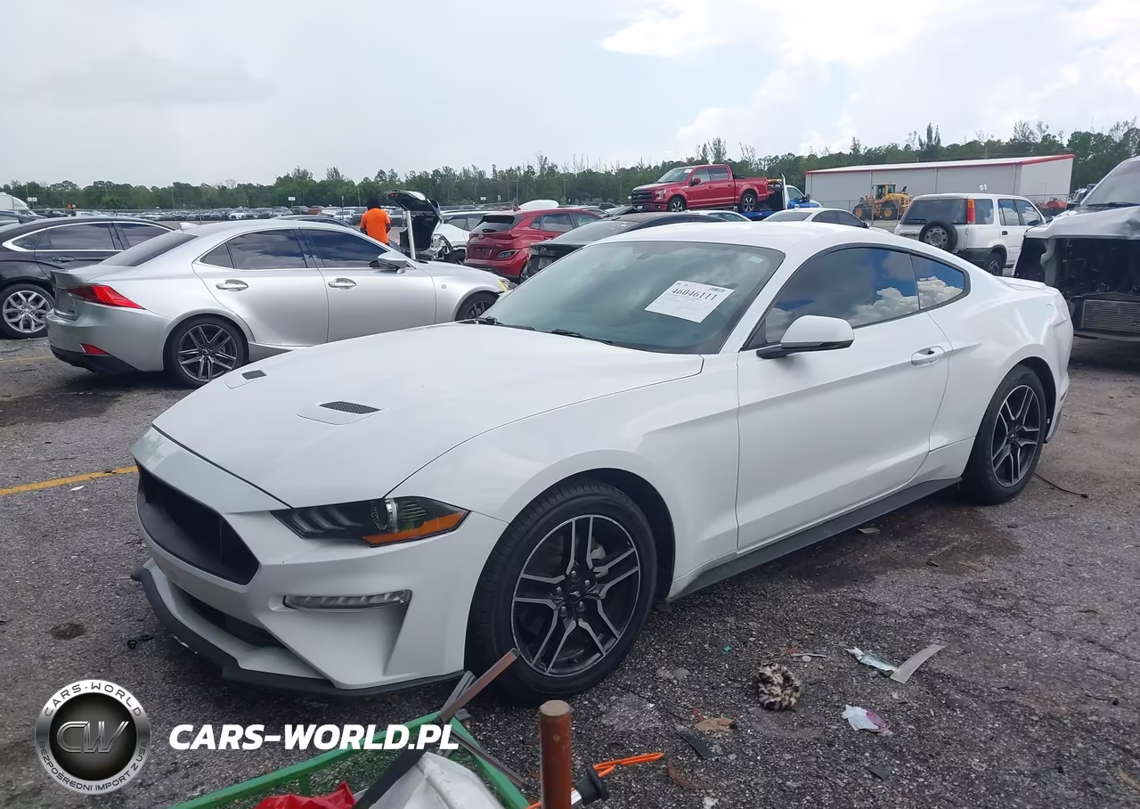 2019 Ford Mustang Ecoboost Premium VIN:1FA6P8TH7K5159762 - 2