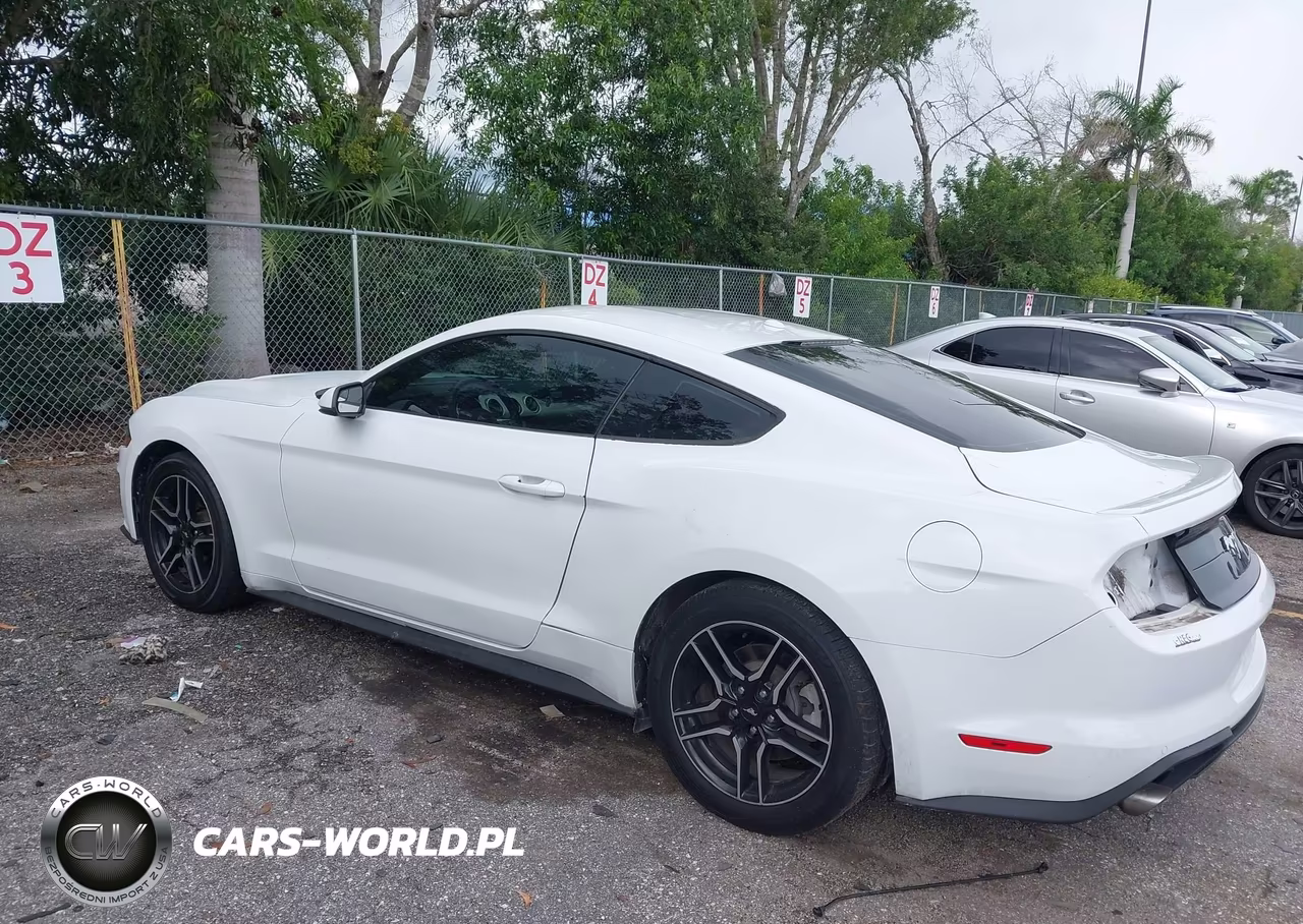 2019 Ford Mustang Ecoboost Premium VIN:1FA6P8TH7K5159762 - 3