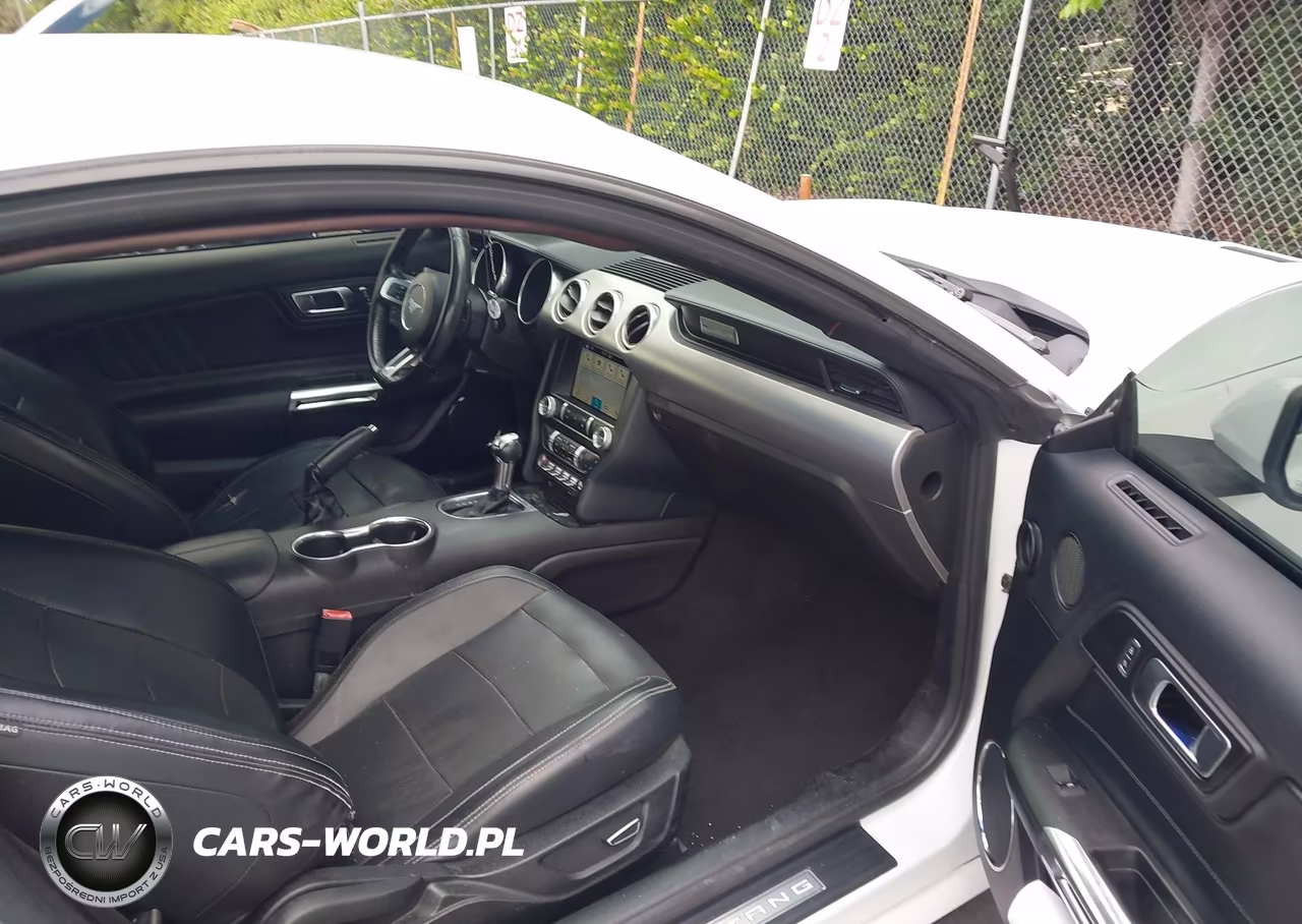 2019 Ford Mustang Ecoboost Premium VIN:1FA6P8TH7K5159762 - 5