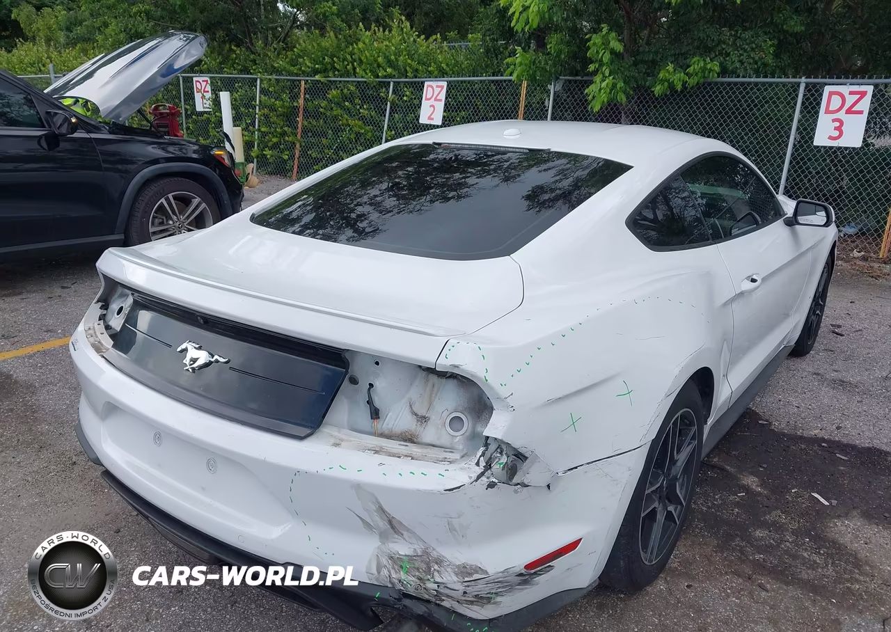 2019 Ford Mustang Ecoboost Premium VIN:1FA6P8TH7K5159762 - 6