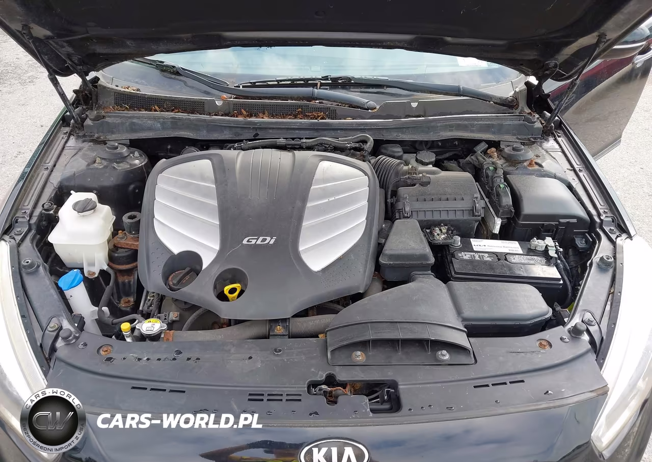 2015 Kia Cadenza Premium VIN:KNALN4D77F5177361 - 10