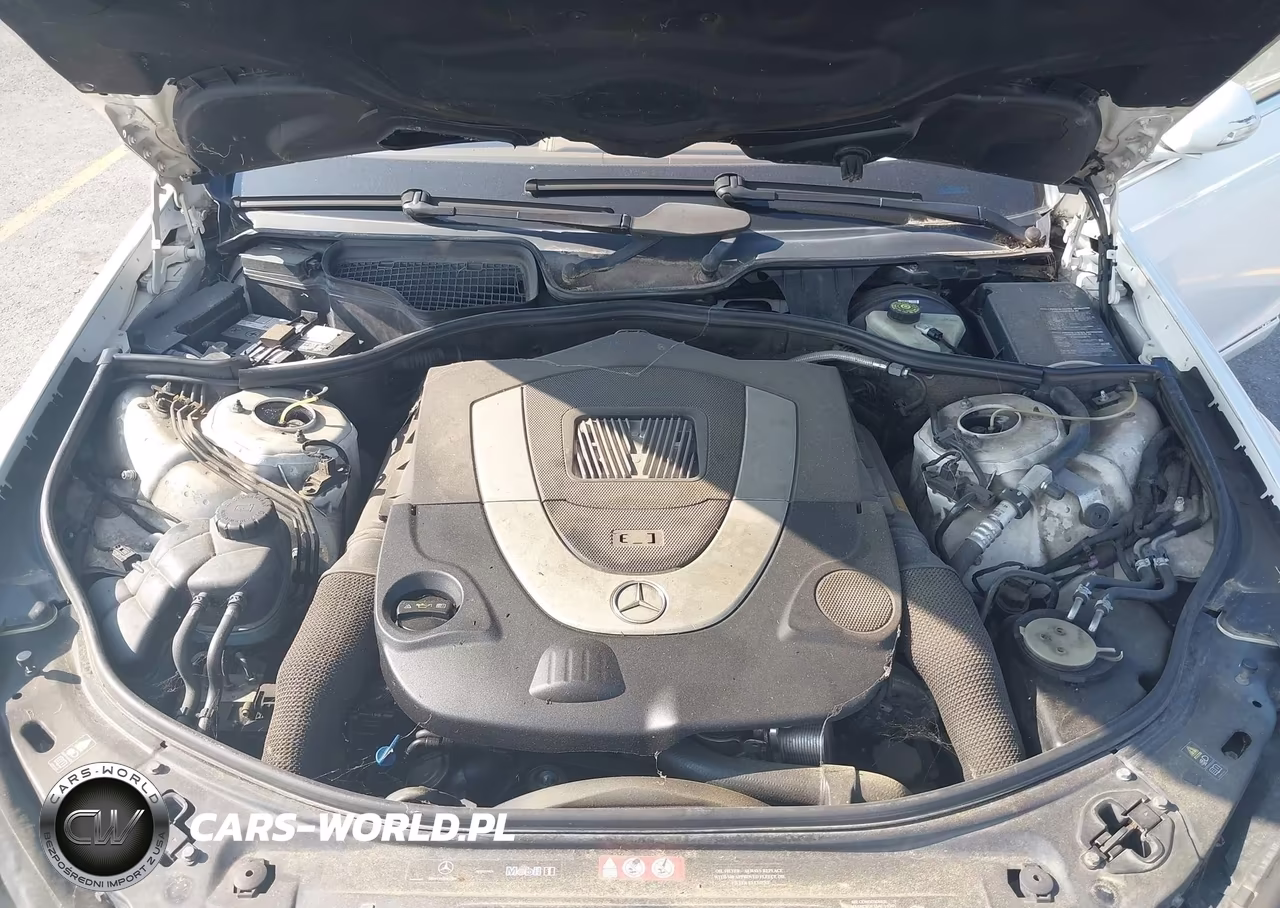 2007 Mercedes-Benz S 550 VIN:WDDNG71X77A047963 - 10
