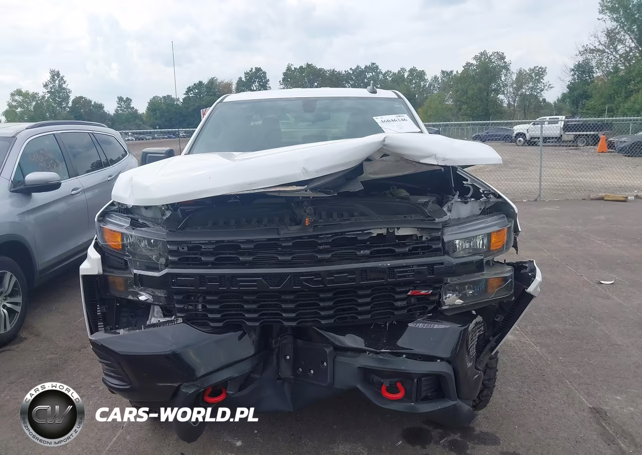 2020 Chevrolet Silverado 1500 4Wd Standard Bed Custom Trail Boss VIN:1GCRYCEF8LZ103536 - 12