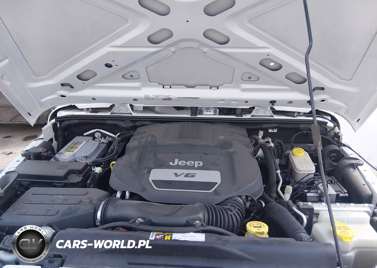 2016 Jeep Wrangler Unlimited Sport VIN:1C4BJWDG2GL278925 - 10