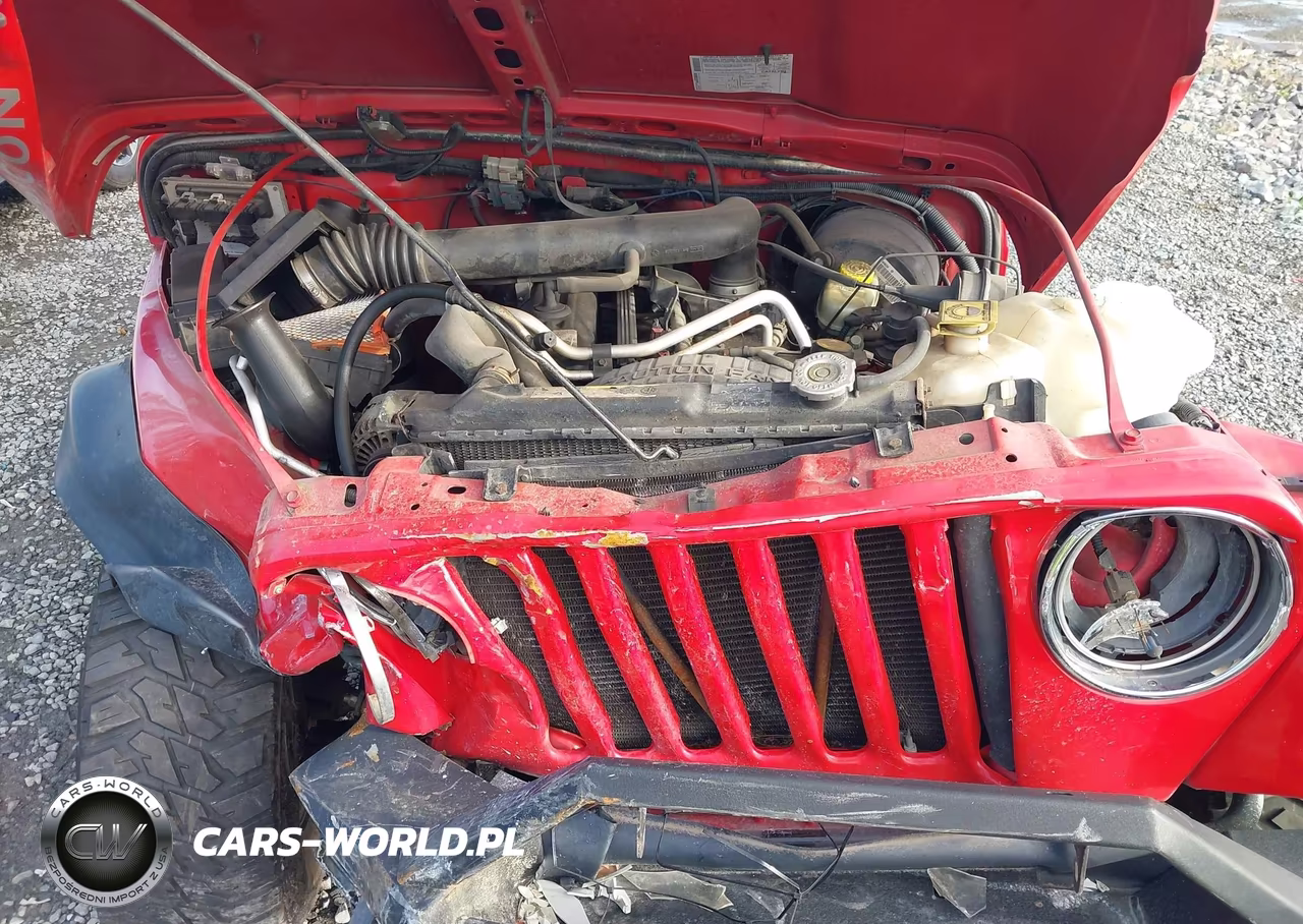 2004 Jeep Wrangler Rubicon VIN:1J4FA69S44P728863 - 10