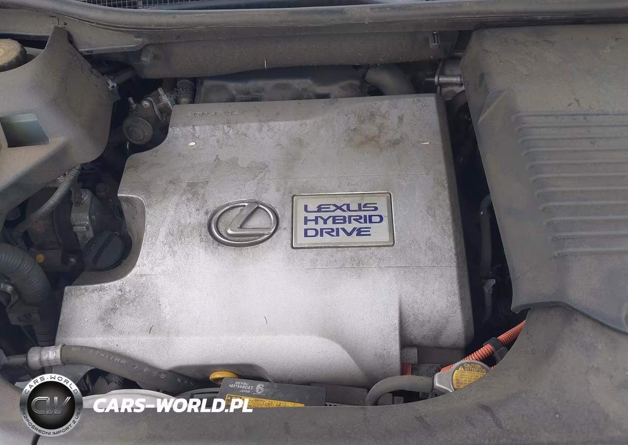 2013 Lexus Rx 450H VIN:JTJZB1BA4D2007649 - 10