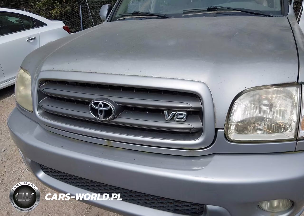 2004 Toyota Sequoia Sr5 V8 VIN:5TDBT44A34S223923 - 6