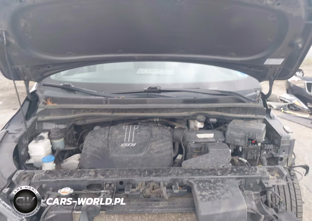 2017 Kia Sedona Lx VIN:KNDMB5C15H6239744 - 10