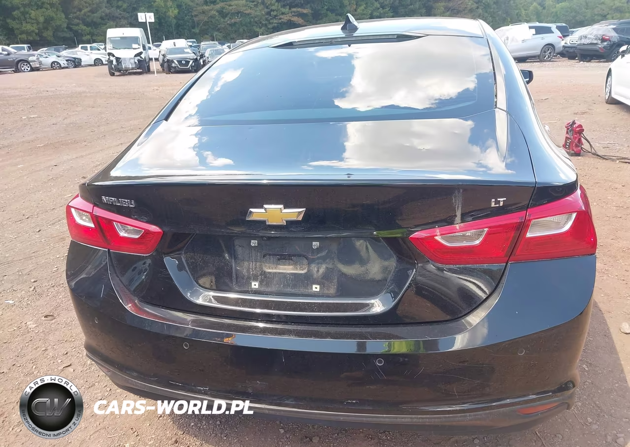 2023 Chevrolet Malibu Fwd 1Lt VIN:1G1ZD5ST0PF208816 - 16