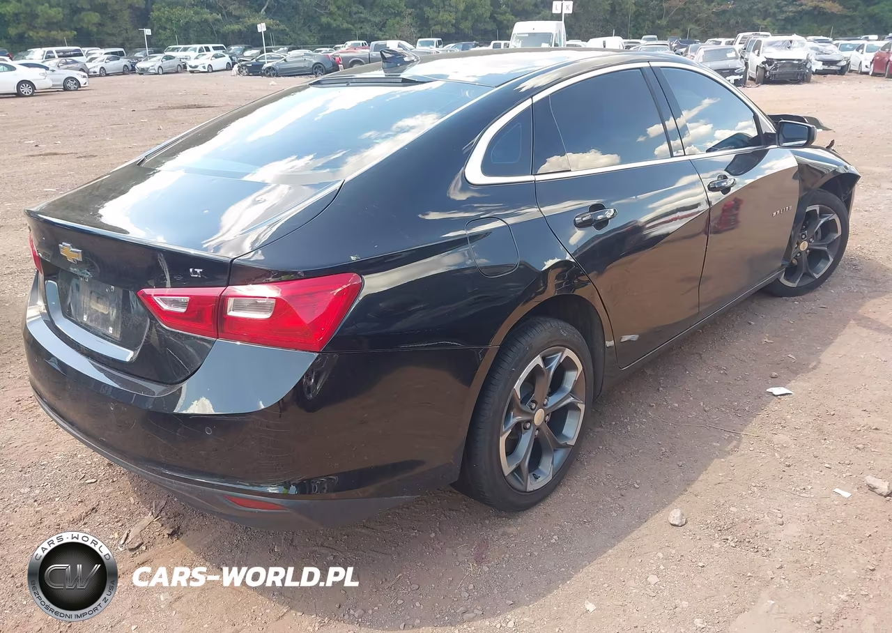 2023 Chevrolet Malibu Fwd 1Lt VIN:1G1ZD5ST0PF208816 - 4