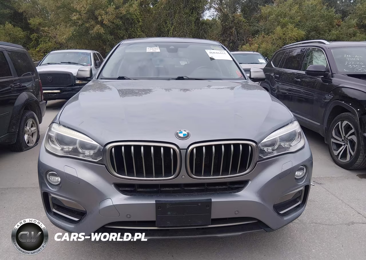 2016 BMW X6 xDrive50I VIN:5UXKU6C53G0R33715 - 12
