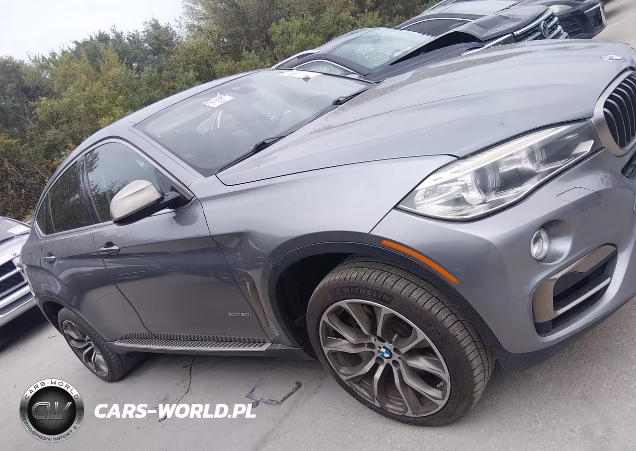2016 BMW X6 xDrive50I VIN:5UXKU6C53G0R33715 - 13
