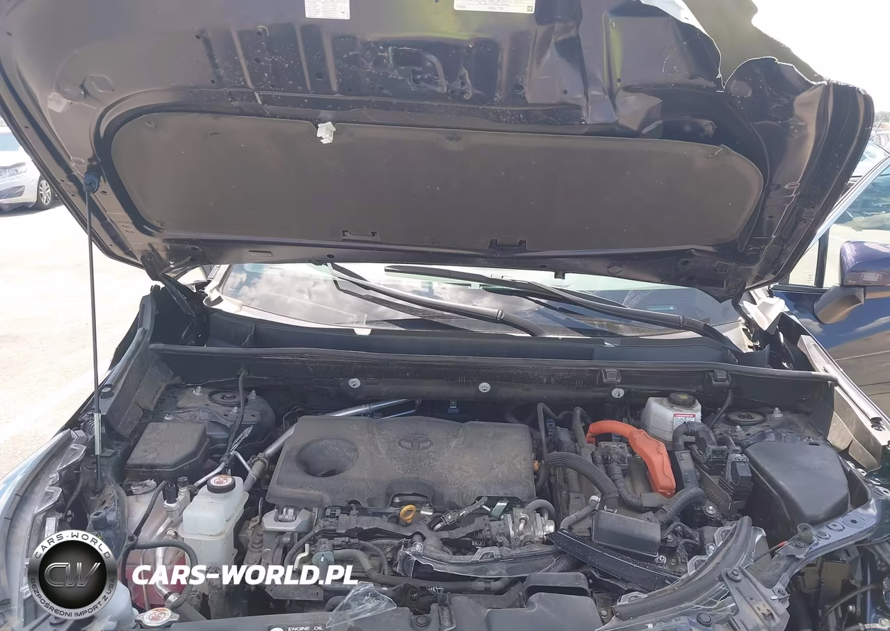 2024 Toyota Rav4 Hybrid Xle VIN:4T3RWRFVXRU112424 - 10