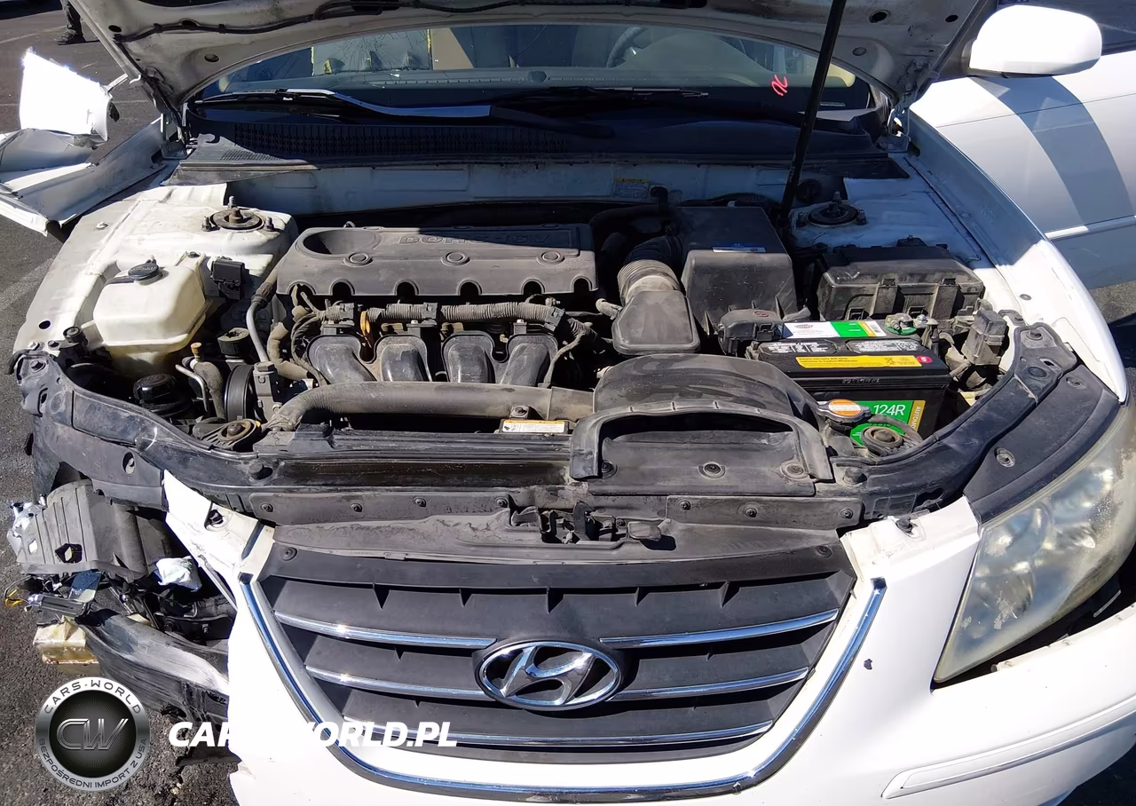 2010 Hyundai Sonata Gls VIN:5NPET4AC4AH612879 - 10
