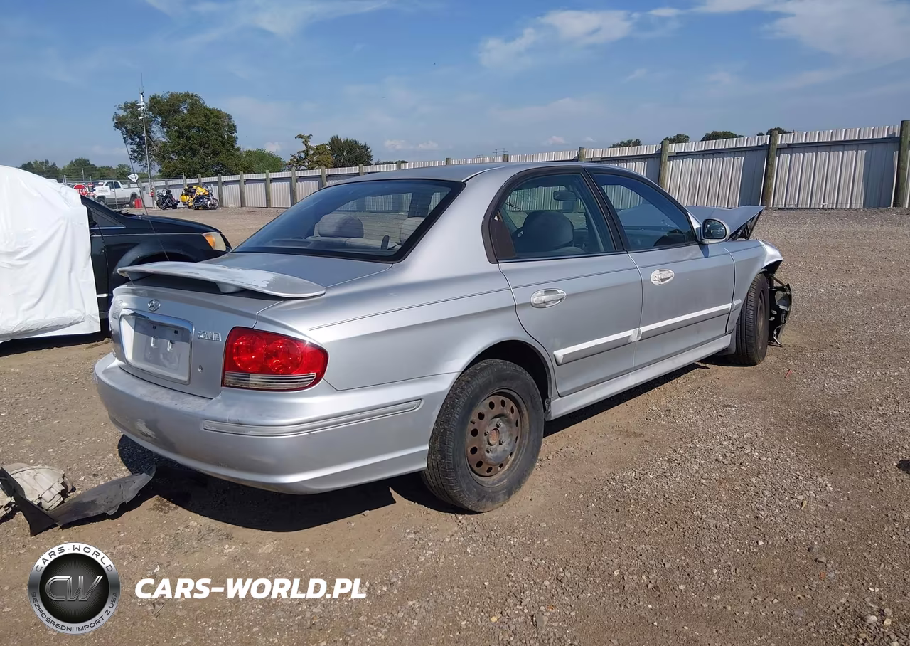 2004 Hyundai Sonata VIN:KMHWF25S94A966180 - 4