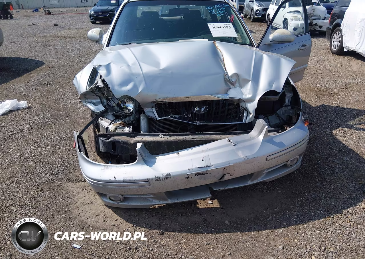 2004 Hyundai Sonata VIN:KMHWF25S94A966180 - 6