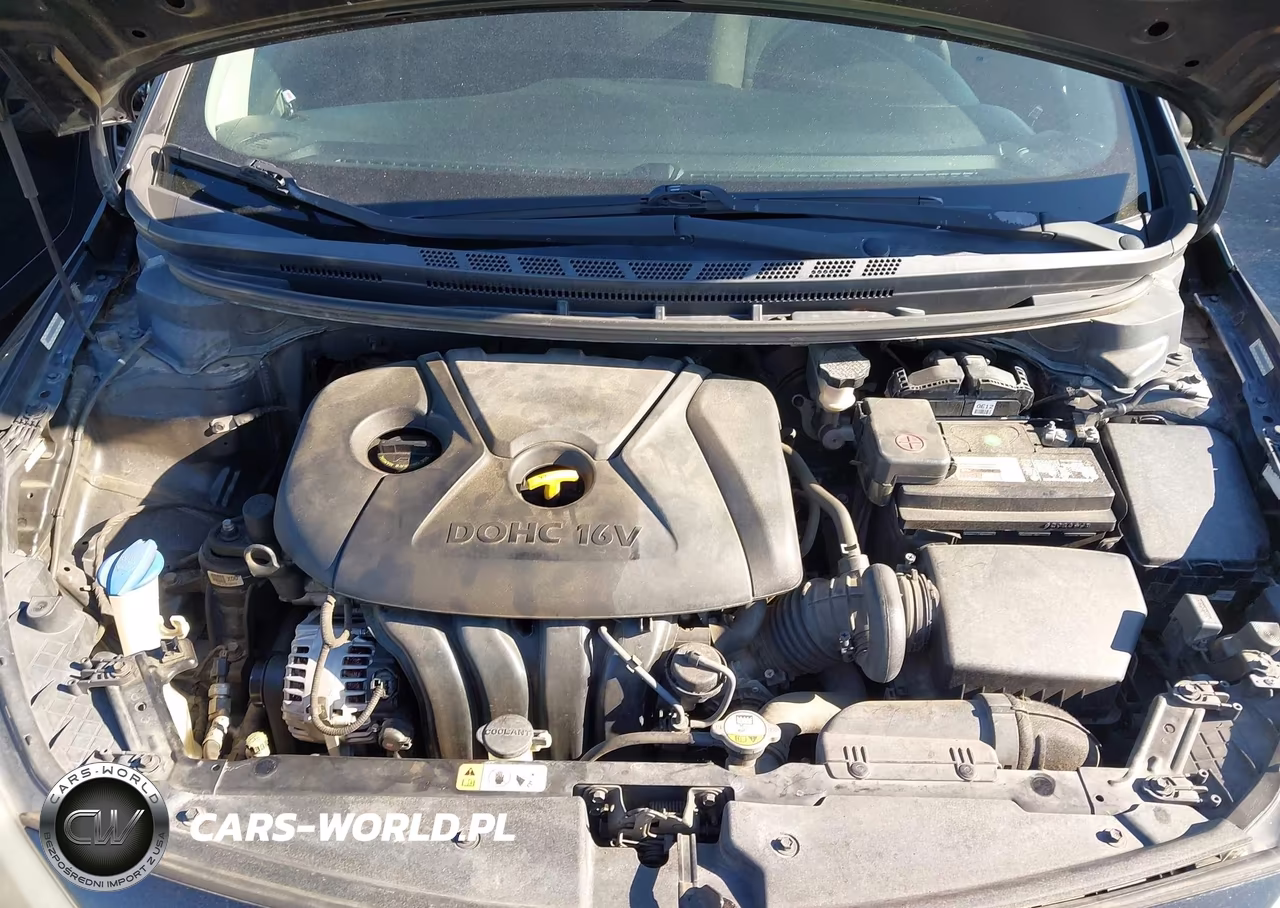 2015 Kia Forte Lx VIN:KNAFK4A61F5277022 - 10