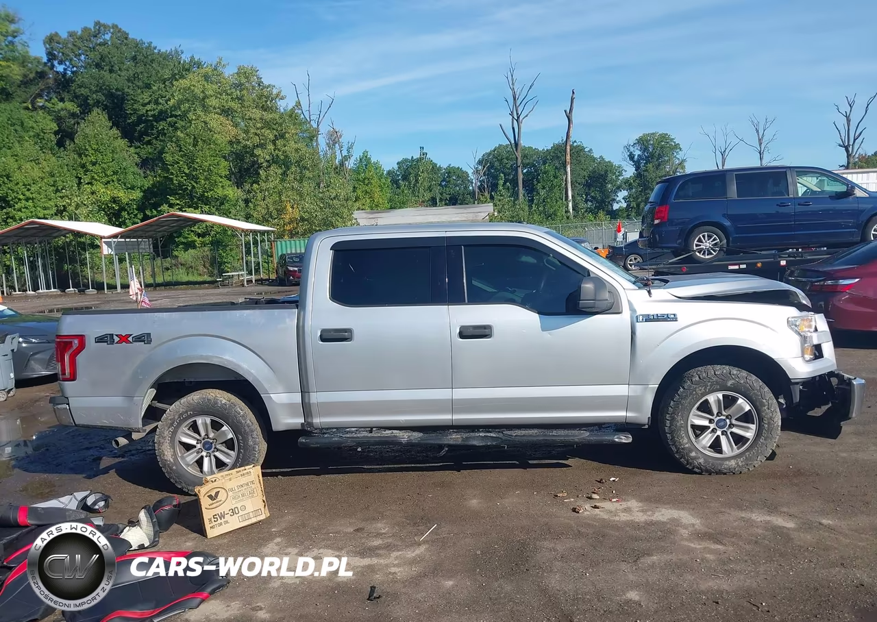 2016 Ford F-150 Xlt VIN:1FTEW1E89GFC31298 - 13