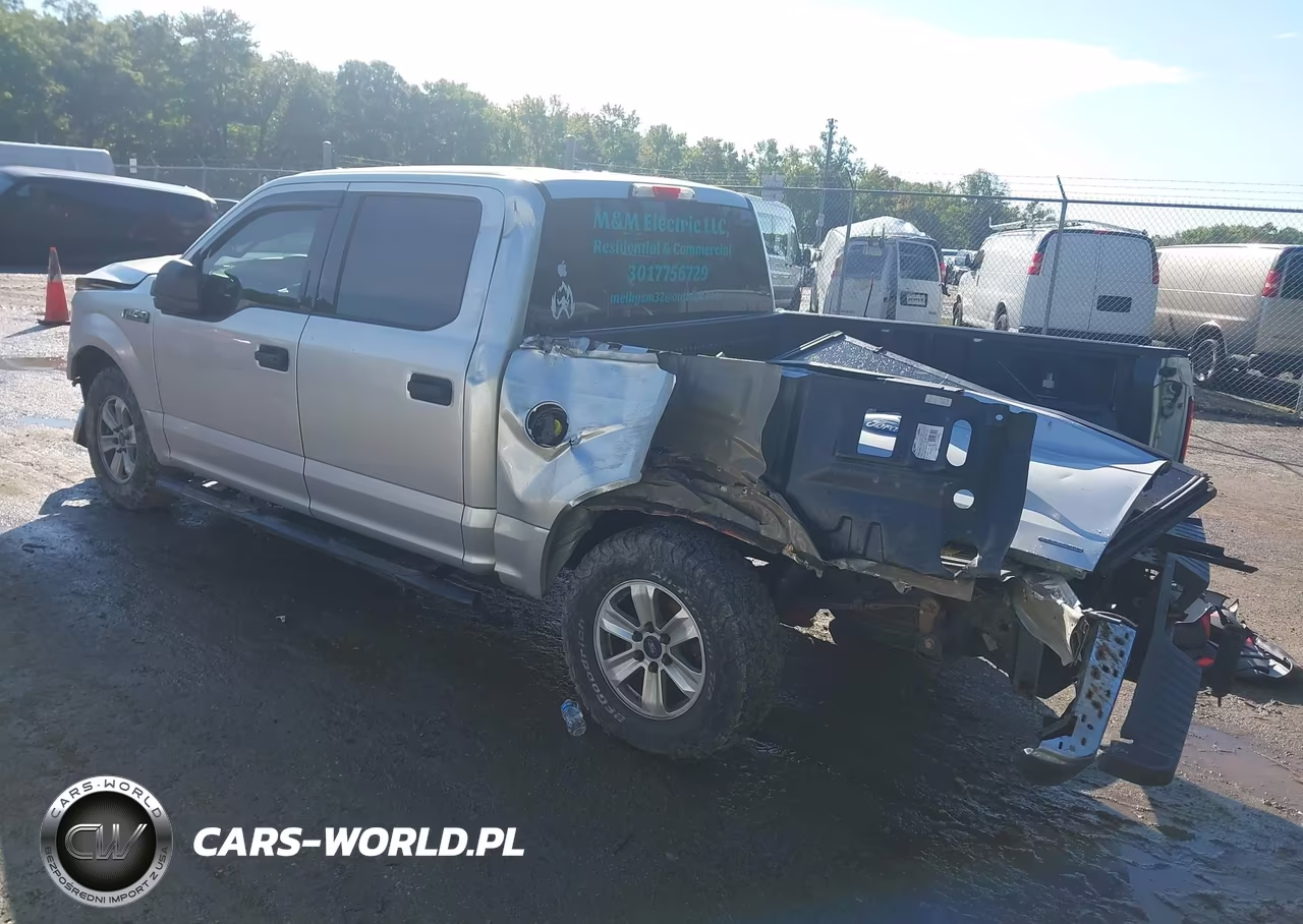 2016 Ford F-150 Xlt VIN:1FTEW1E89GFC31298 - 3