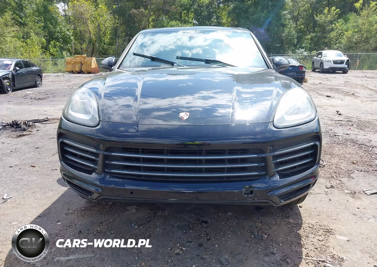 2019 Porsche Cayenne VIN:WP1AA2AYXKDA10689 - 11