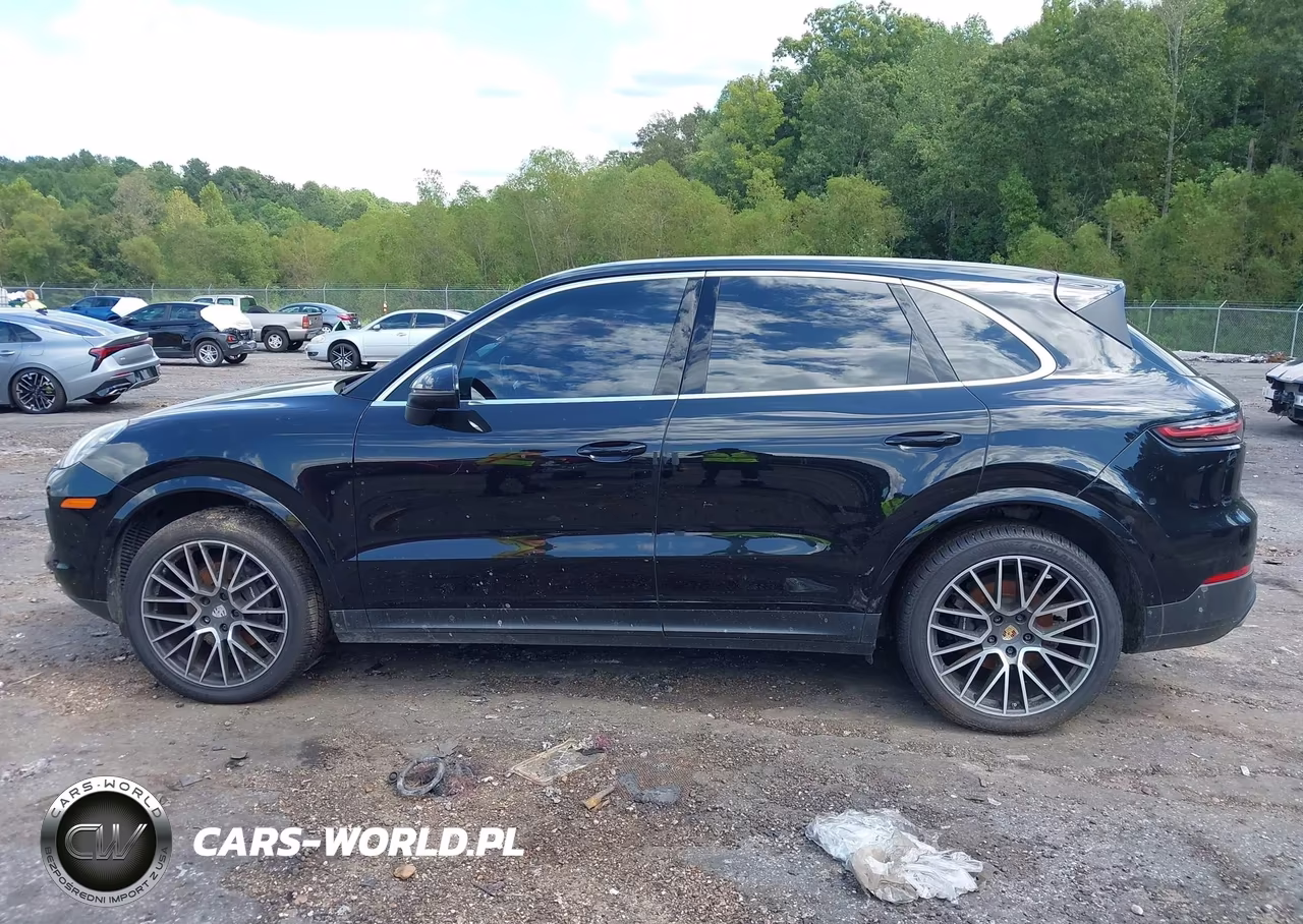 2019 Porsche Cayenne VIN:WP1AA2AYXKDA10689 - 13
