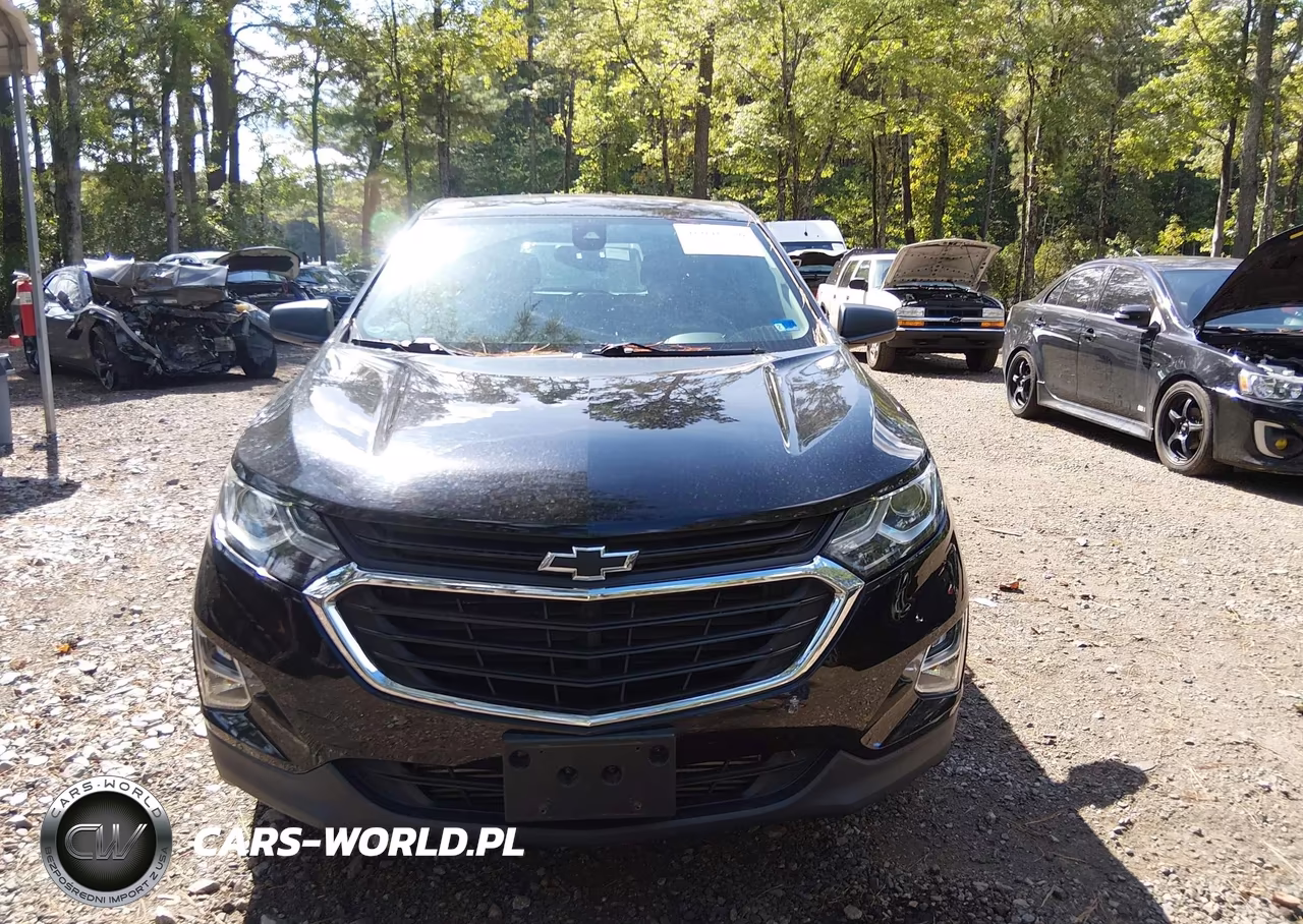 2020 Chevrolet Equinox Fwd Ls VIN:2GNAXHEV2L6193841 - 12