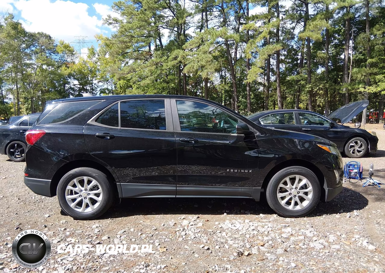 2020 Chevrolet Equinox Fwd Ls VIN:2GNAXHEV2L6193841 - 13