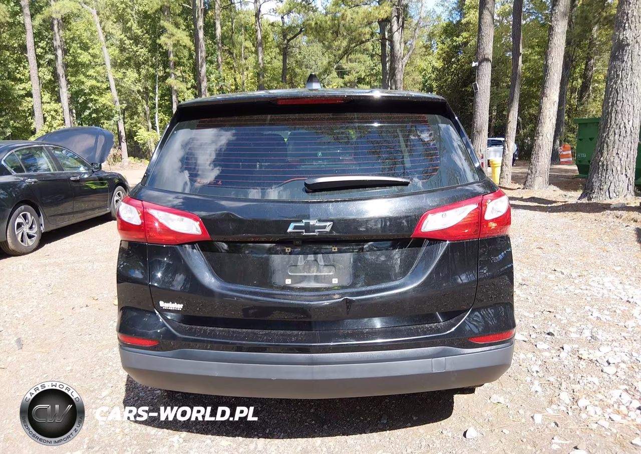 2020 Chevrolet Equinox Fwd Ls VIN:2GNAXHEV2L6193841 - 16