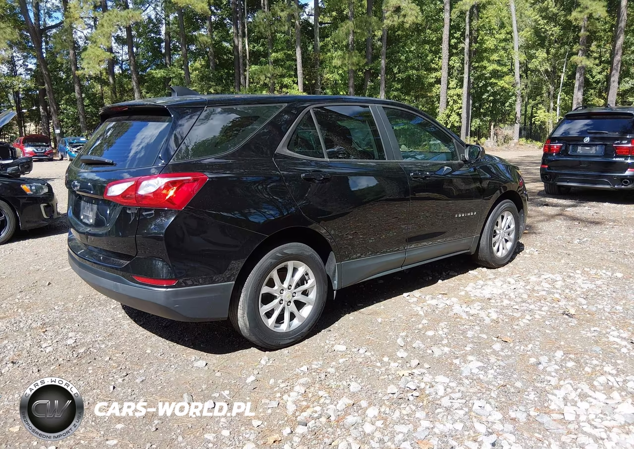 2020 Chevrolet Equinox Fwd Ls VIN:2GNAXHEV2L6193841 - 4